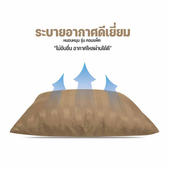 DD Bedding หมอนหนุนแพ็คคู่ รุ่น Compact SS ริ้วน้ำตาลอ่อน