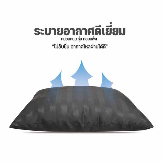 DD Bedding หมอนหนุนแพ็คคู่ รุ่น Compact SS ริ้วเทา