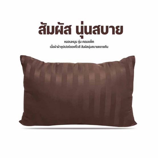 DD Bedding หมอนหนุนแพ็คคู่ รุ่น Compact SS ริ้วน้ำตาลเข้ม