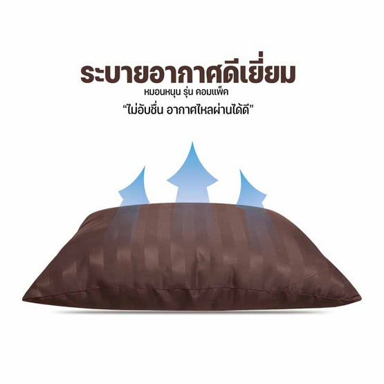 DD Bedding หมอนหนุนแพ็คคู่ รุ่น Compact SS ริ้วน้ำตาลเข้ม