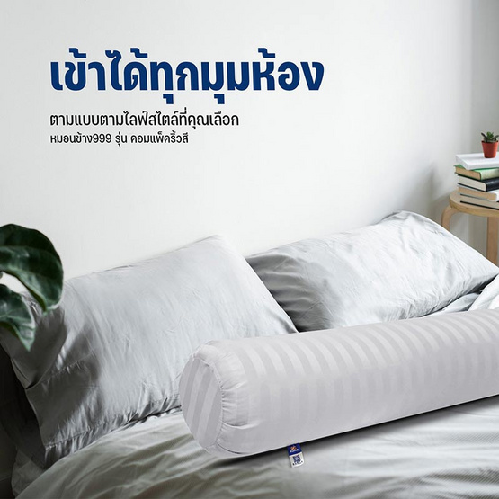 SC HOME หมอนข้างลายริ้ว รุ่น Compact ริ้วขาว