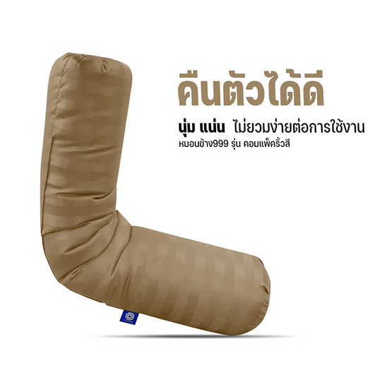 DD Bedding หมอนข้างลายริ้ว รุ่น Compact ริ้วครีม