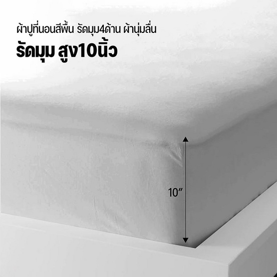 DD ชุดผ้าปูที่นอน รุ่น Soft Touch ขนาด 3.5 ฟุต สีเทาอ่อน (3 ชิ้น)