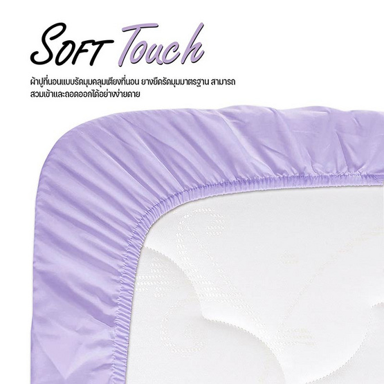 DD ชุดผ้าปูที่นอน รุ่น Soft Touch ขนาด 3.5 ฟุต สีม่วง (3 ชิ้น)