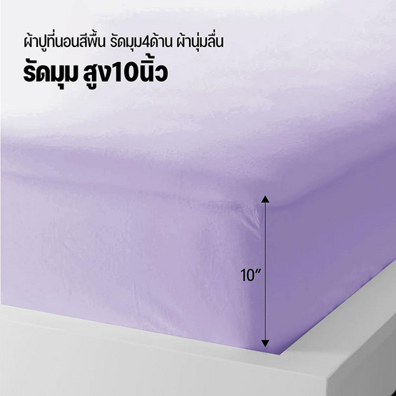 DD ชุดผ้าปูที่นอน รุ่น Soft Touch ขนาด 3.5 ฟุต สีม่วง (3 ชิ้น)