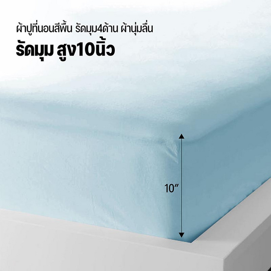 DD ชุดผ้าปูที่นอน รุ่น Soft Touch ขนาด 3.5 ฟุต สีเขียวมิ้น (3 ชิ้น)