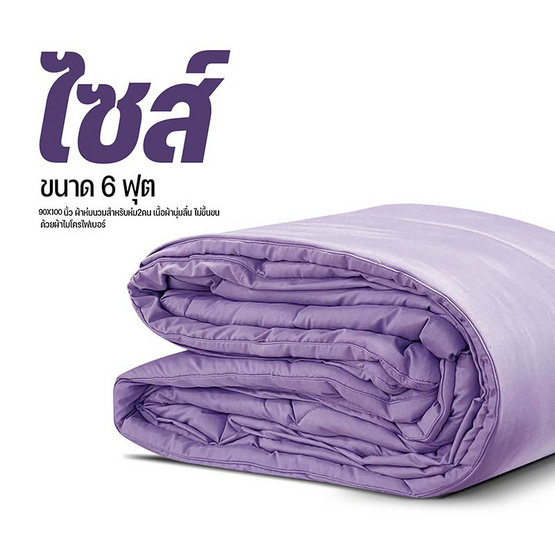 DD ผ้านวม รุ่น Soft Touch ไซส์ 70x90 (3.5 ฟุต) สีม่วง