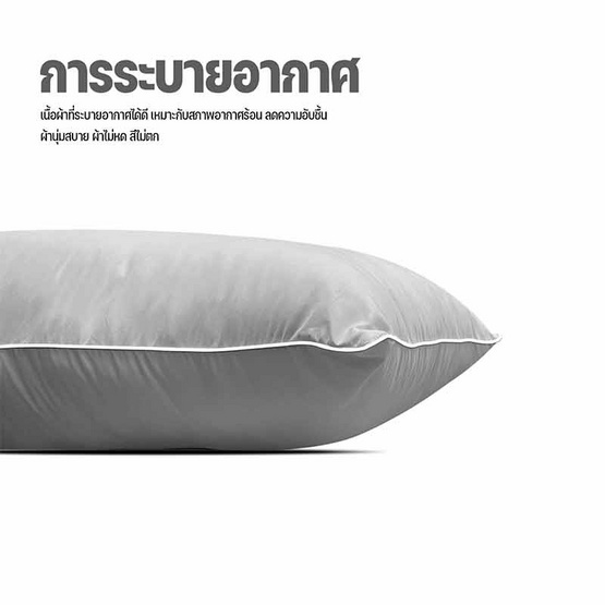 DD หมอนบอดี้ รุ่น Mild 18''x45'' สีเทาอ่อน