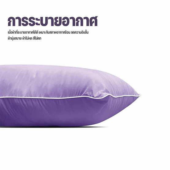 DD หมอนบอดี้ รุ่น Mild 18''x45'' สีม่วง