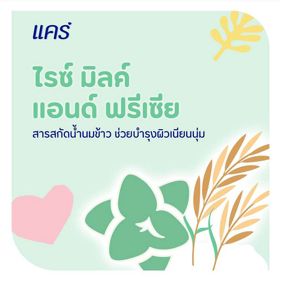 แคร์ แป้งเด็ก ไรซ์มิลค์แอนด์ฟรีเซีย 160 กรัม (แพ็ก 3 ชิ้น)