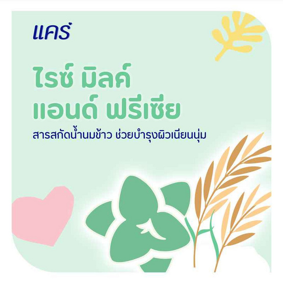 แคร์ แป้งเด็ก ไรซ์มิลค์แอนด์ฟรีเซีย 160 กรัม (แพ็ก 3 ชิ้น) แคร์ แป้งเด็ก ไรซ์มิลค์แอนด์ฟรีเซีย 160 กรัม (แพ็ก 3 ชิ้น)