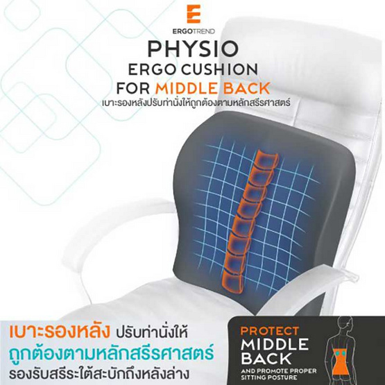 Ergotrend PHYSIO ERGO CUSHION FOR MIDDLE BACK เบาะรองหลังปรับท่านั่งตามหลักสรีรศาสตร์