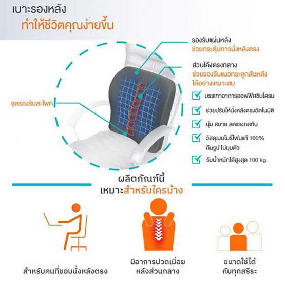 Ergotrend PHYSIO ERGO CUSHION FOR MIDDLE BACK เบาะรองหลังปรับท่านั่งตามหลักสรีรศาสตร์