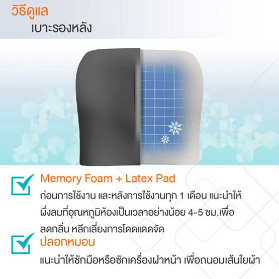 Ergotrend PHYSIO ERGO CUSHION FOR MIDDLE BACK เบาะรองหลังปรับท่านั่งตามหลักสรีรศาสตร์