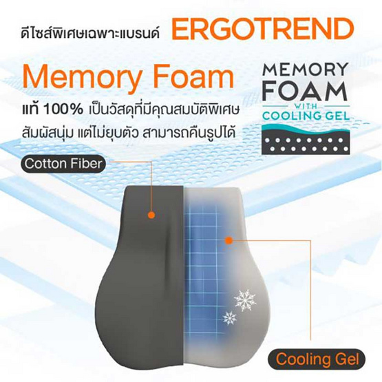 Ergotrend PHYSIO ERGO CUSHION FOR LOWER BACK เบาะรองหลังปรับท่านั่งตามหลักสรีรศาสตร์