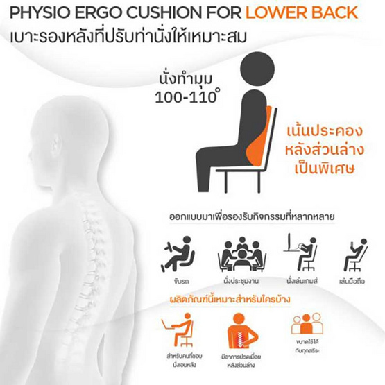 Ergotrend PHYSIO ERGO CUSHION FOR LOWER BACK เบาะรองหลังปรับท่านั่งตามหลักสรีรศาสตร์