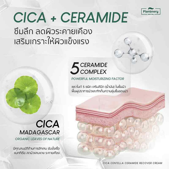 Plantnery ครีมบำรุงผิวหน้า Cica Centella Ceramide Recover Cream 50 กรัม