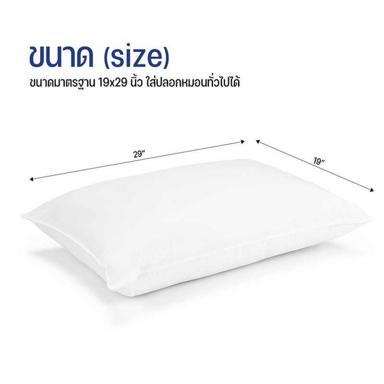 หมอนขนห่านเทียม รุ่น soft pillow 19"x29"