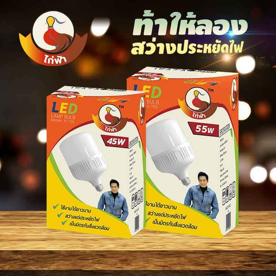 TSM หลอดไฟไก่ฟ้า 45 วัตต์