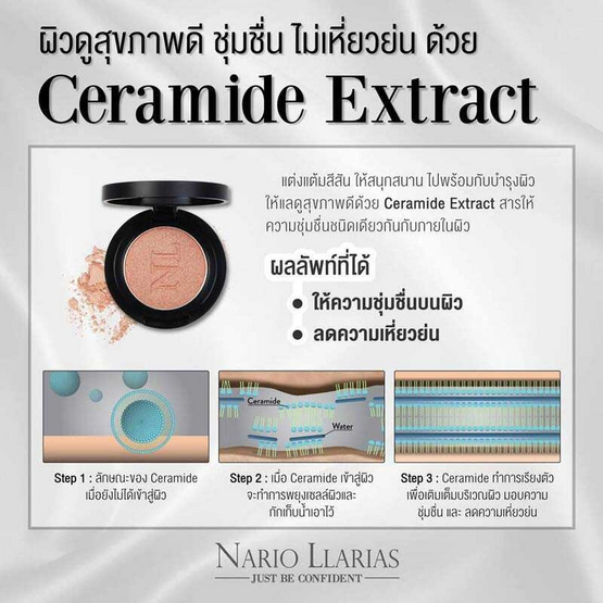 Nario Llarias พาเลทอายแชโดว์ Eyeshadow Palette 2กรัม