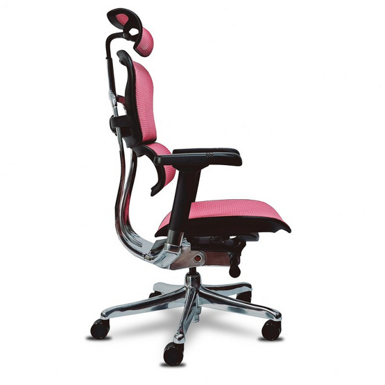 DF Prochair เก้าอี้เพื่อสุขภาพ รุ่น Ergo Elite Pro