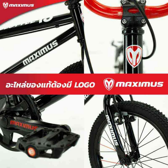 MAXI Freestyle_18 SV