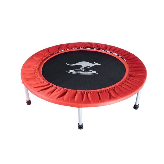 Sanook Trampoline แทรมโพลีนที่กระโดด 40 นิ้ว(100 ซม.)