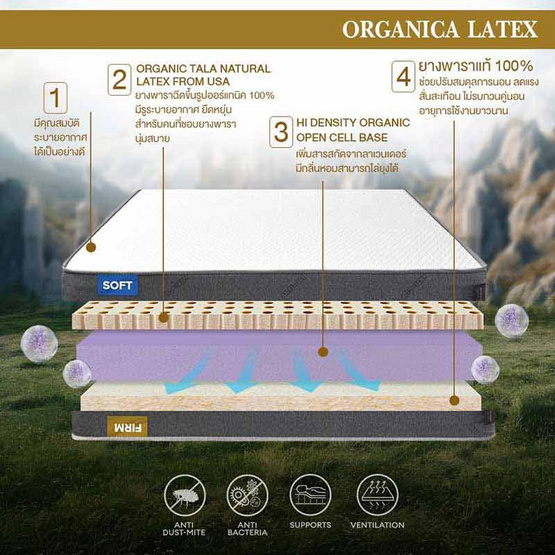 Bedisupreme ที่นอนยางพาราธรรมชาติหนา 6 นิ้ว รุ่น ORGANICA LATEX