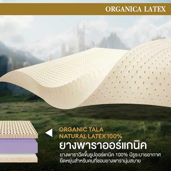 Bedisupreme ที่นอนยางพาราธรรมชาติหนา 6 นิ้ว รุ่น ORGANICA LATEX