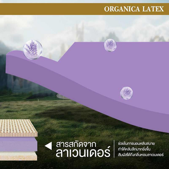 Bedisupreme ที่นอนยางพาราธรรมชาติหนา 6 นิ้ว รุ่น ORGANICA LATEX