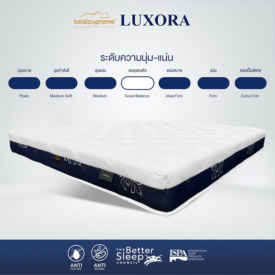 Bedisupreme ที่นอนสปริง หนา 8 นิ้ว รุ่น LUXORA