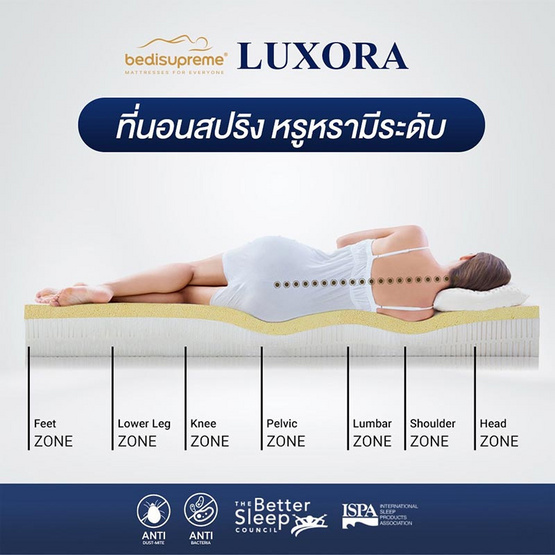 Bedisupreme ที่นอนสปริง หนา 8 นิ้ว รุ่น LUXORA