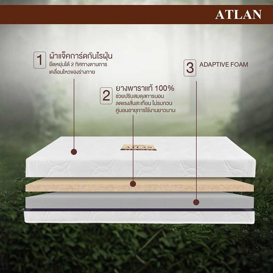 Bedisupreme ที่นอนยางพาราแท้ หนา 6.5 นิ้ว รุ่น ATLAN