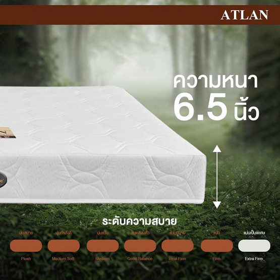 Bedisupreme ที่นอนยางพาราแท้ หนา 6.5 นิ้ว รุ่น ATLAN