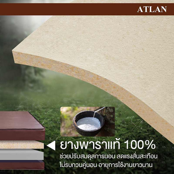 Bedisupreme ที่นอนยางพาราแท้ หนา 8 นิ้ว รุ่น ATLAN PVC