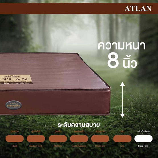 Bedisupreme ที่นอนยางพาราแท้ หนา 8 นิ้ว รุ่น ATLAN PVC