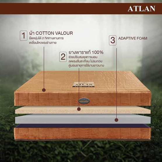 Bedisupreme ที่นอนยางพาราแท้ หนา 7 นิ้ว รุ่น ATLAN Cotton Velour