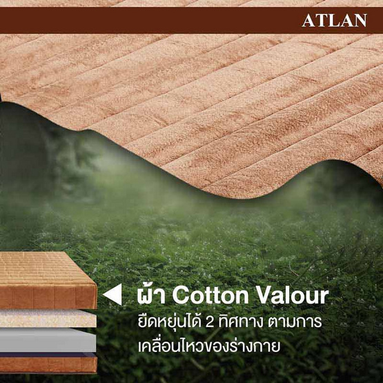 Bedisupreme ที่นอนยางพาราแท้ หนา 7 นิ้ว รุ่น ATLAN Cotton Velour