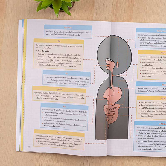 หนังสือ Learning Map วิทย์ ประถม 6