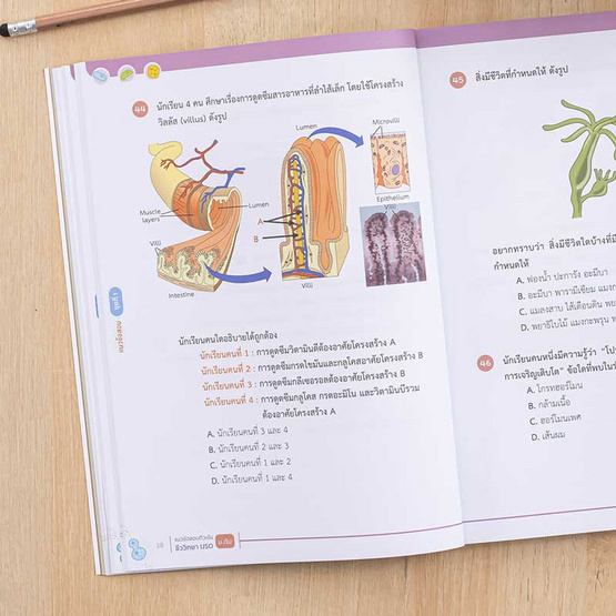 หนังสือ แนวข้อสอบติวเข้มชีววิทยา IJSO ม.ต้น