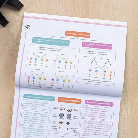 หนังสือ แผนภาพช่วยจำ วิทย์ ม.3