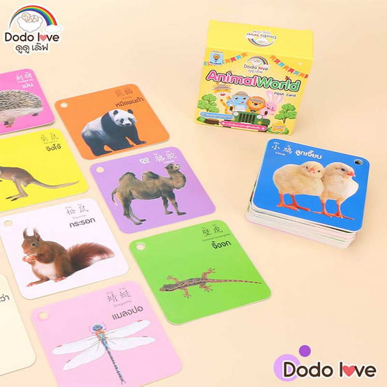 DODOLOVE เกมส์การ์ดเสริมทักษะ Animal World