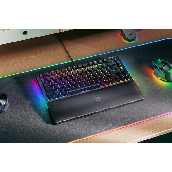 Razer คีย์บอร์ดเกม BlackWidow V4 75% (EN)