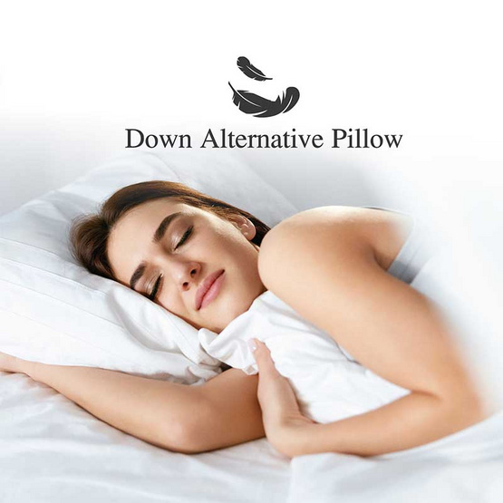 Slumberland Down Alternative Pillow หมอนขนเป็ดไมโครเจล (106PDD) 1 แถม 1