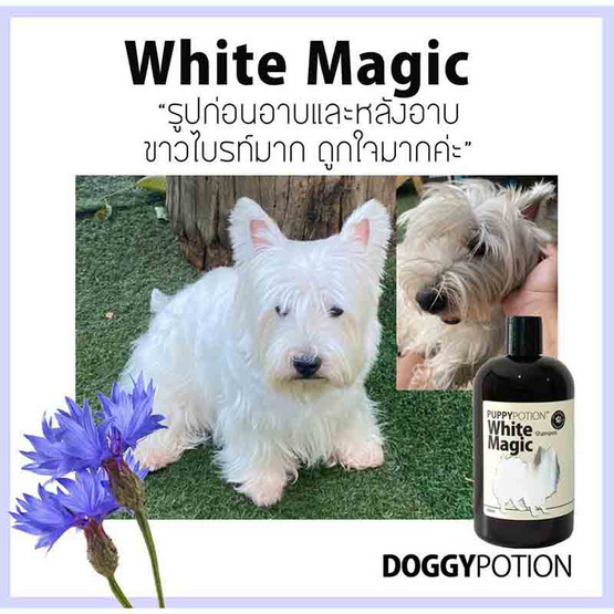 Doggy Potion PUPPY POTION White Magic แชมพูสำหรับสุนัขขนขาว 500ml