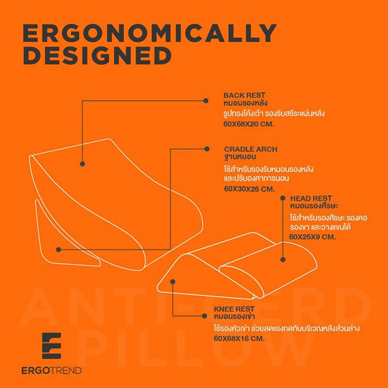 ERGOTREND หมอนเพื่อสุขภาพเออร์โกเทรน รุ่น ANTI GERD PILLOW