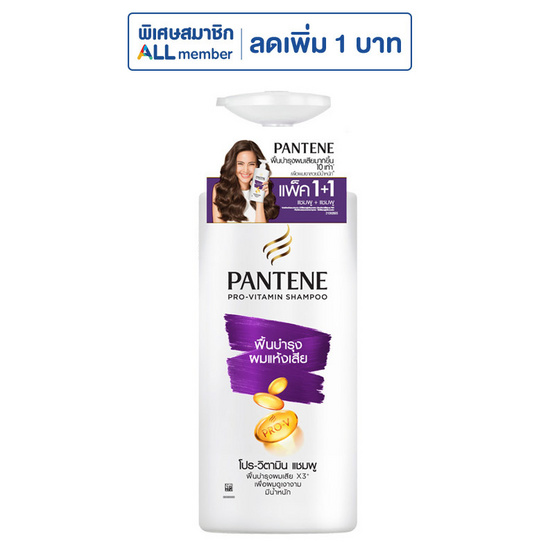 แพนทีน แชมพู สูตร ฟื้นบำรุงผมแห้งเสีย 380 มล. (แพ็กคู่)