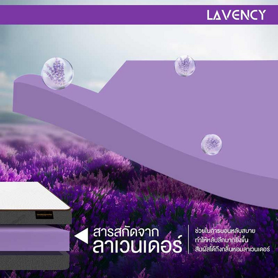 Bedisupreme ที่นอน HI-DENSITY ORGANIC OPEN CELL BASE รุ่น LAVENCY หนา 4 นิ้ว