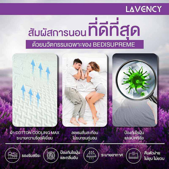 ที่นอน HI-DENSITY ORGANIC OPEN CELL BASE รุ่น LAVENCY หนา 6 นิ้ว