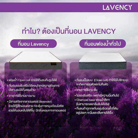 ที่นอน HI-DENSITY ORGANIC OPEN CELL BASE รุ่น LAVENCY หนา 6 นิ้ว